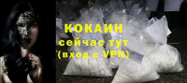 гидра Бронницы