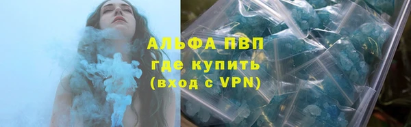 винт Вяземский