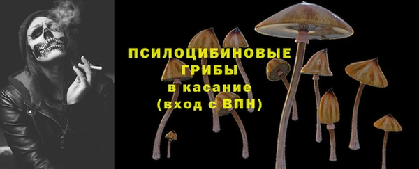 mdpv Вязьма
