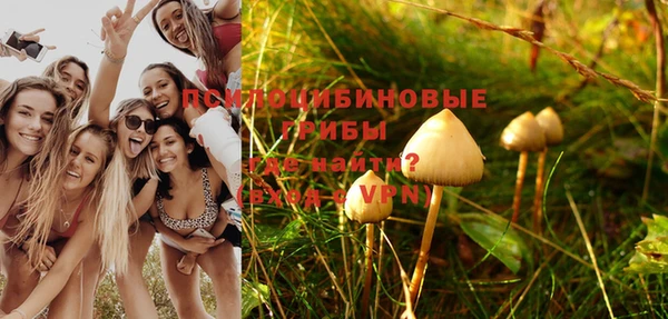винт Вяземский