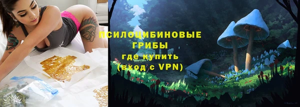 винт Вяземский