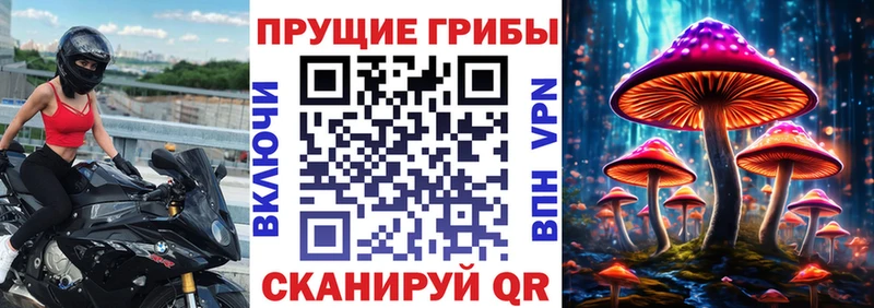 Галлюциногенные грибы Psilocybine cubensis Новоржев