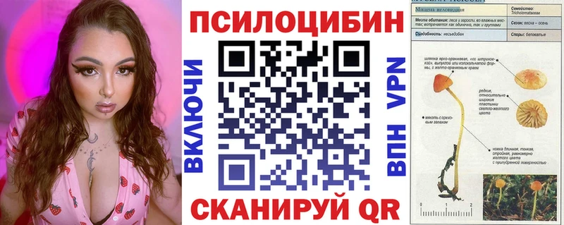 Псилоцибиновые грибы ЛСД  Новоржев 