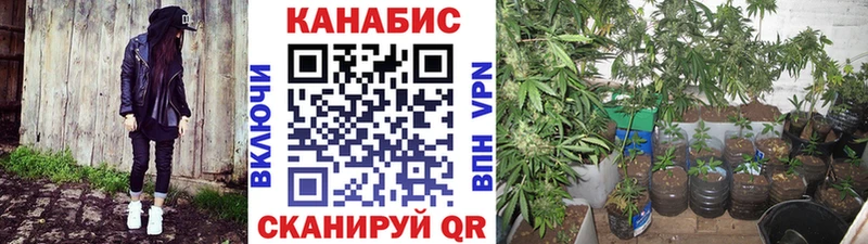 Марихуана THC 21% что такое Новоржев